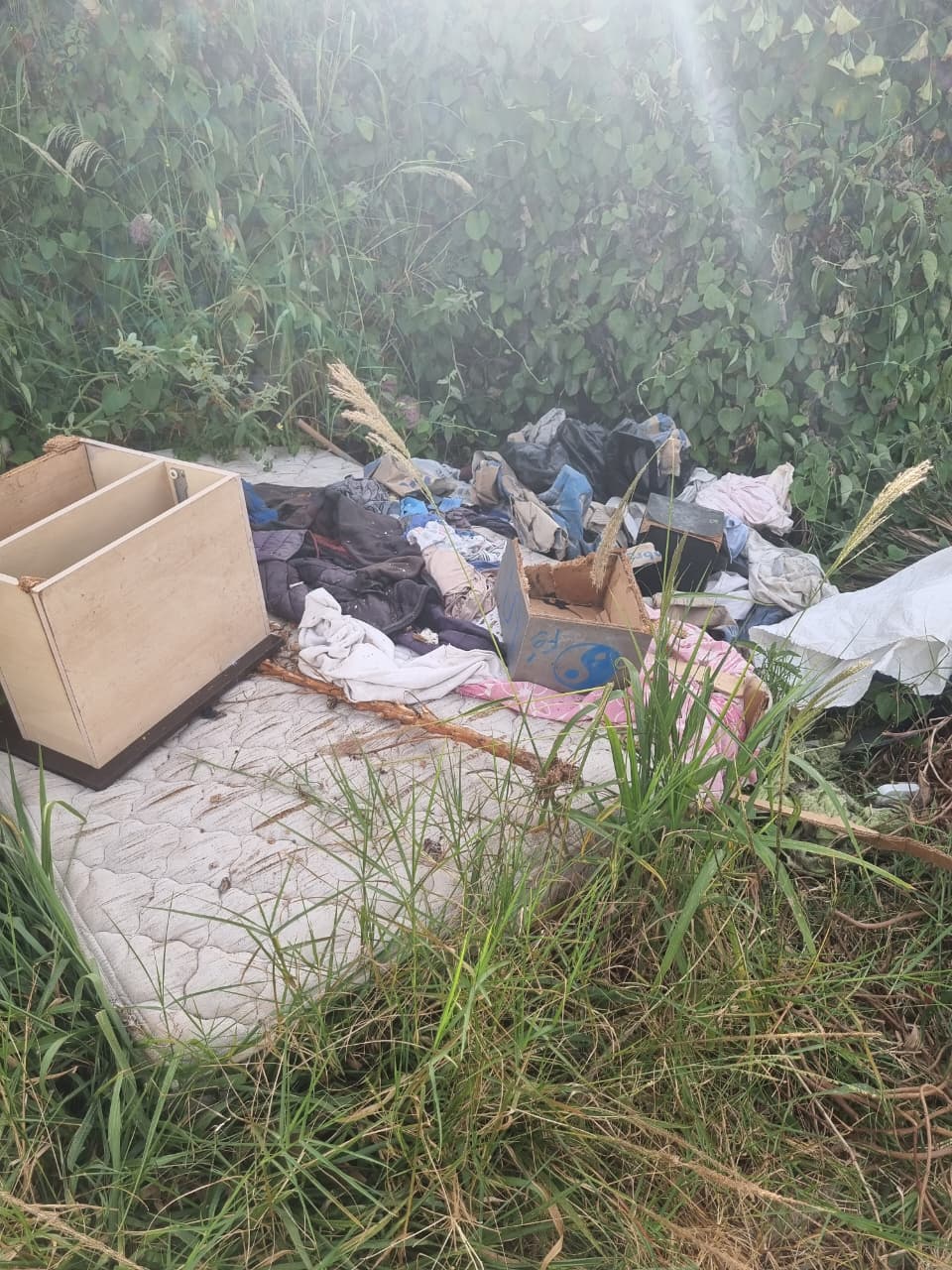 Descarte irregular no bairro