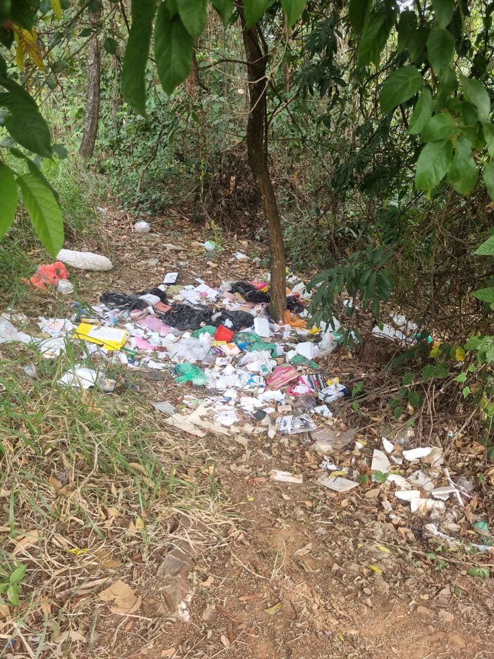 Lixo acumulado em mata urbana