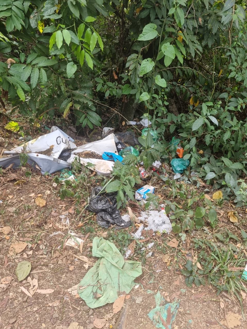 Descarte de resíduos em área de preservação