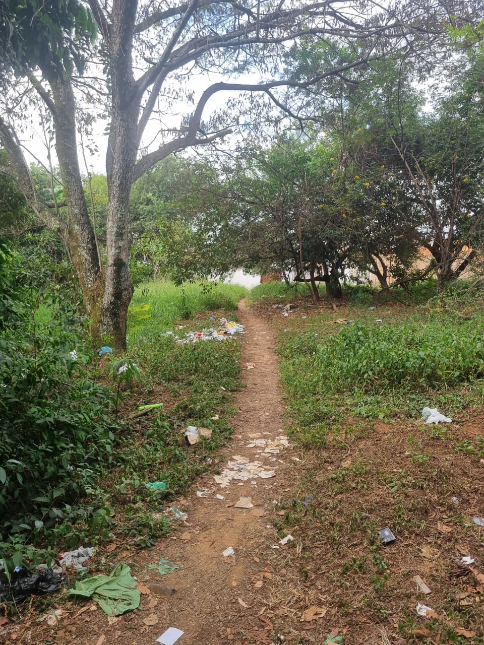 Lixo ao longo de trilha no bairro